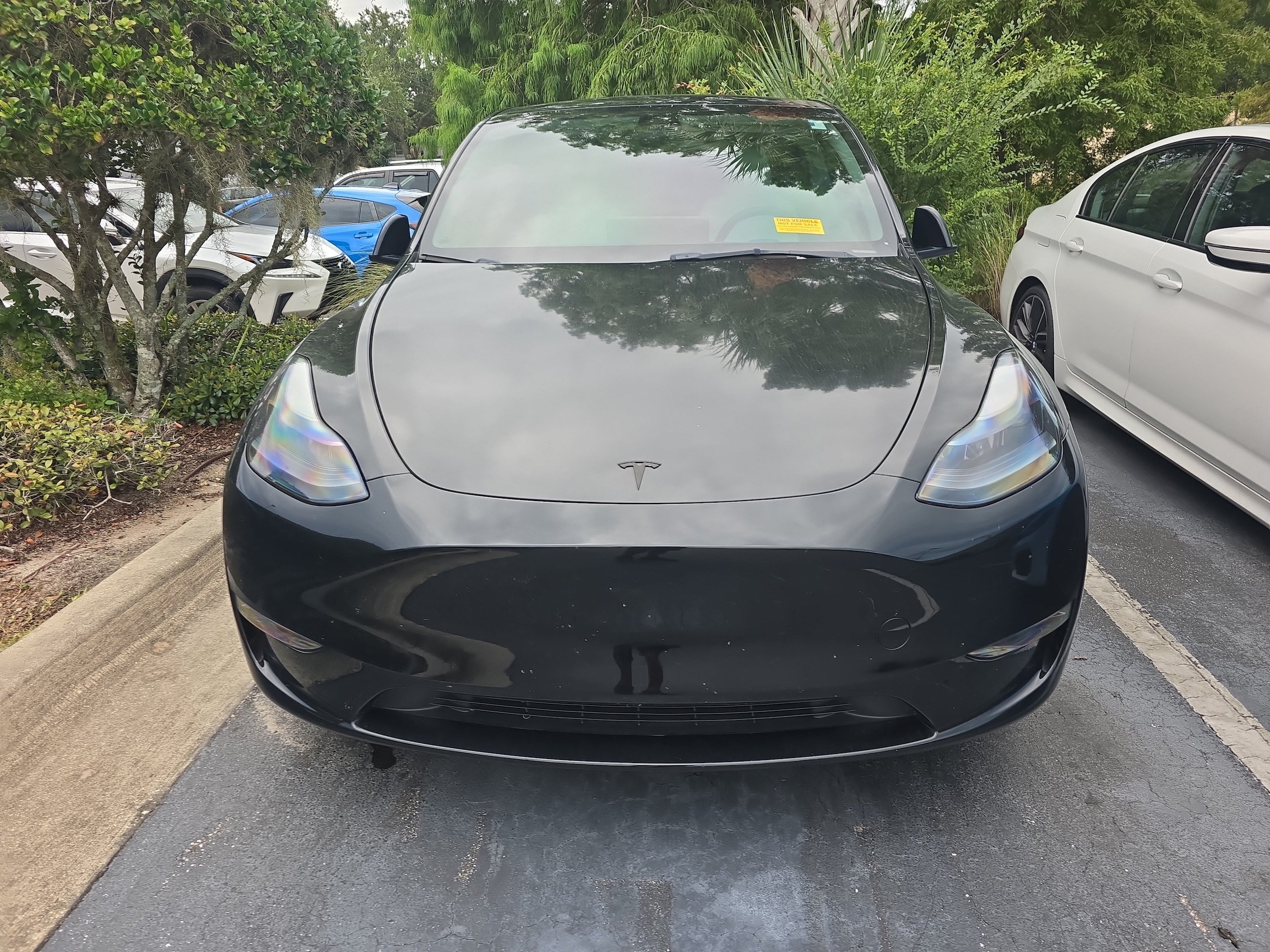 tesla model y 2023 7SAYGDEF7PF788342 image tesla model y 2023 7SAYGDEF7PF788342 image